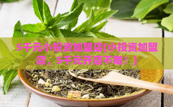 5千元小投资加盟店(小投资加盟店,5千元开店不难!)