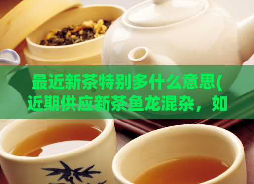 最近新茶特别多什么意思(近期供应新茶鱼龙混杂,如何辨别正宗?)