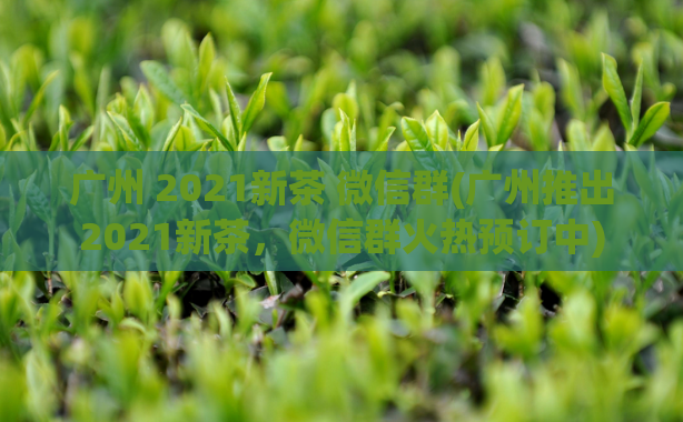 广州 2021新茶 微信群(广州推出2021新茶,微信群火热预订中)