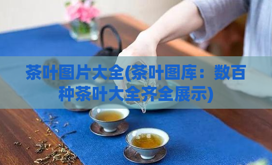 茶叶图片大全(茶叶图库：数百种茶叶大全齐全展示)