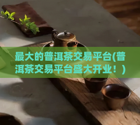 最大的普洱茶交易平台(普洱茶交易平台盛大开业!)