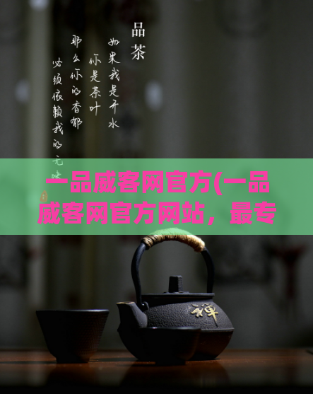 一品威客网官方(一品威客网官方网站，最专业的自由职业者交易平台)