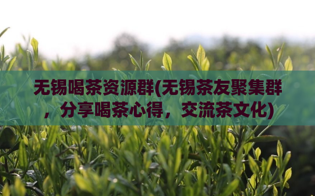 无锡喝茶资源群(无锡茶友聚集群，分享喝茶心得，交流茶文化)
