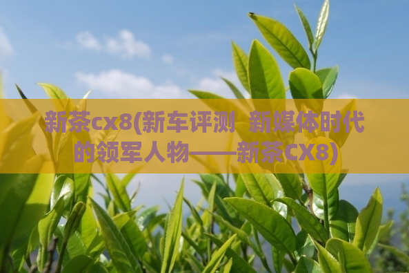 新茶cx8(新车评测 新媒体时代的领军人物——新茶CX8)