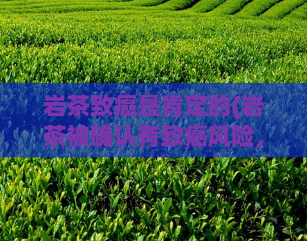 岩茶致癌是肯定的(岩茶被确认有致癌风险,由科学家证实)