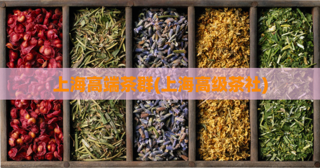 上海高端茶群(上海高级茶社)