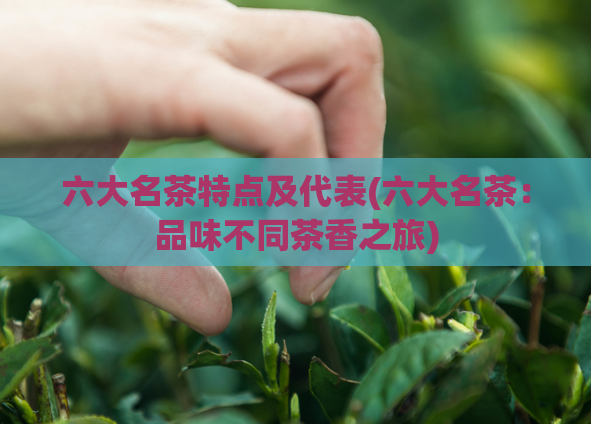 六大名茶特点及代表(六大名茶:品味不同茶香之旅)