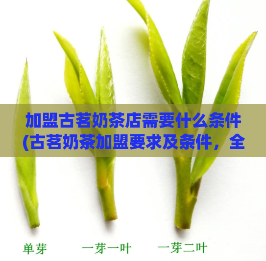 加盟古茗奶茶店需要什么条件(古茗奶茶加盟要求及条件，全面了解加盟细节！)