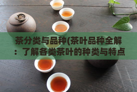 茶分类与品种(茶叶品种全解:了解各类茶叶的种类与特点)