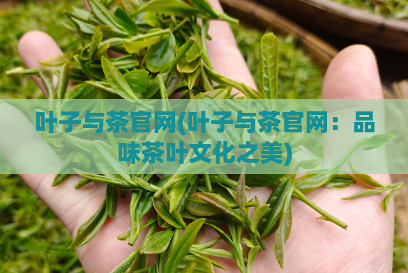 叶子与茶官网(叶子与茶官网:品味茶叶文化之美)