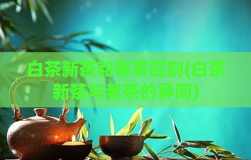 白茶新茶和老茶区别(白茶新茶与老茶的异同)