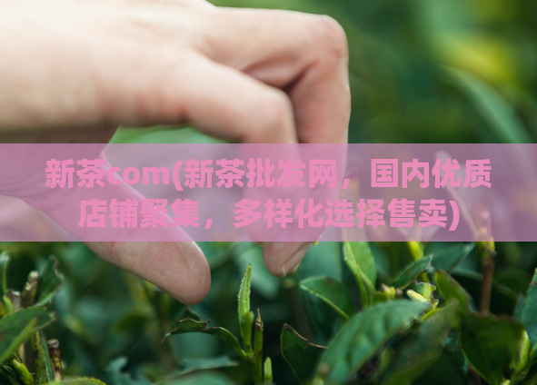 新茶com(新茶批发网，国内优质店铺聚集，多样化选择售卖)