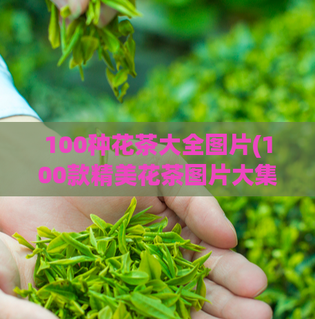 100种花茶大全图片(100款精美花茶图片大集合，品尝绝妙花香，提升生活品质)
