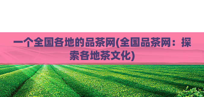 一个全国各地的品茶网(全国品茶网:探索各地茶文化)