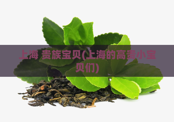 上海 贵族宝贝(上海的高贵小宝贝们)
