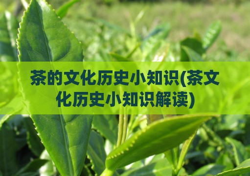 茶的文化历史小知识(茶文化历史小知识解读)