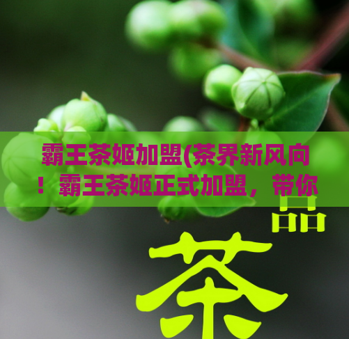 霸王茶姬加盟(茶界新风向!霸王茶姬正式加盟,带你开启全新饮茶体验)