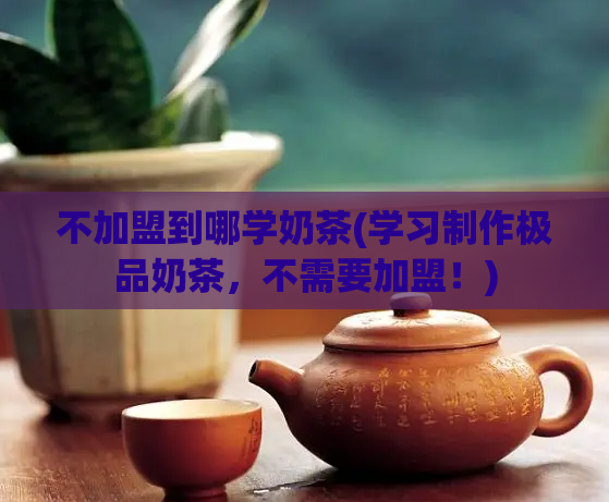 不加盟到哪学奶茶(学习制作极品奶茶,不需要加盟!)