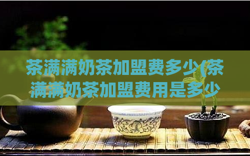 茶满满奶茶加盟费多少(茶满满奶茶加盟费用是多少？)