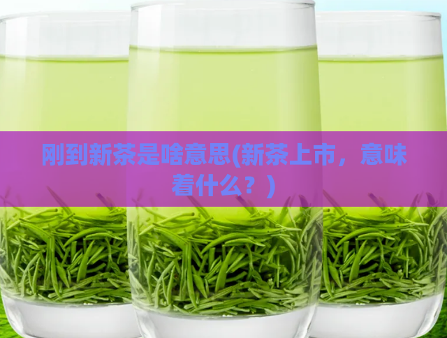 刚到新茶是啥意思(新茶上市，意味着什么？)