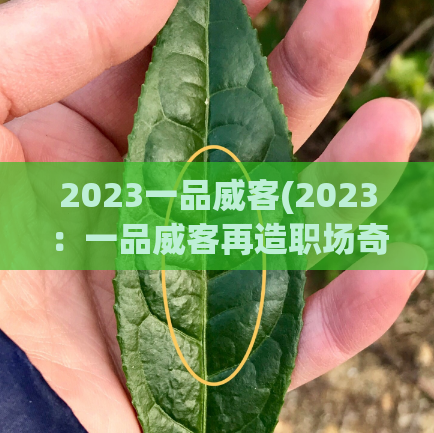 2023一品威客(2023：一品威客再造职场奇迹！)