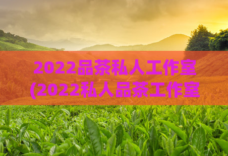 2022品茶私人工作室(2022私人品茶工作室——品味纯正的茶香)