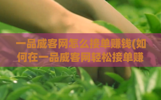一品威客网怎么接单赚钱(如何在一品威客网轻松接单赚钱)