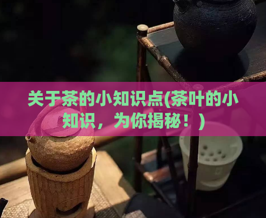 关于茶的小知识点(茶叶的小知识,为你揭秘!)