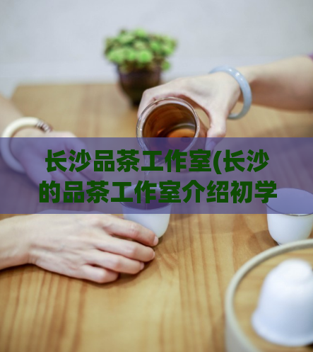 长沙品茶工作室(长沙的品茶工作室介绍初学者茶艺技巧)