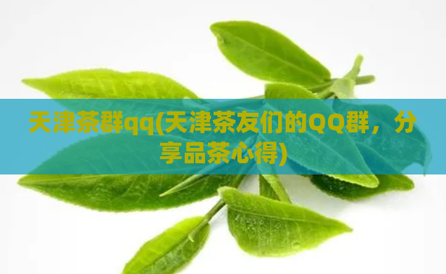 天津茶群qq(天津茶友们的QQ群，分享品茶心得)