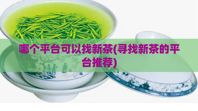 哪个平台可以找新茶(寻找新茶的平台推荐)
