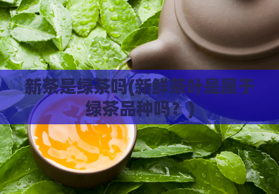 新茶是绿茶吗(新鲜茶叶是属于绿茶品种吗？)
