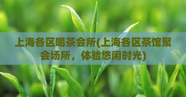 上海各区喝茶会所(上海各区茶馆聚会场所，体验悠闲时光)