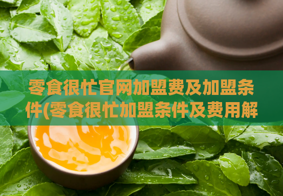 零食很忙官网加盟费及加盟条件(零食很忙加盟条件及费用解析，快来了解！)