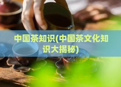 中国茶知识(中国茶文化知识大揭秘)