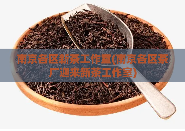 南京各区新茶工作室(南京各区茶厂迎来新茶工作室)