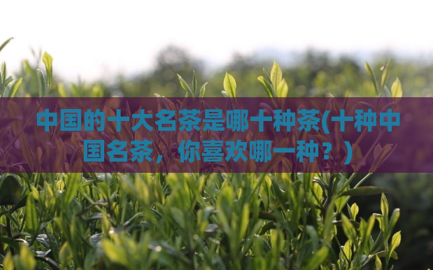 中国的十大名茶是哪十种茶(十种中国名茶，你喜欢哪一种？)