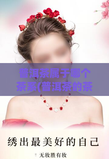 普洱茶属于哪个茶系(普洱茶的茶系是什么？)