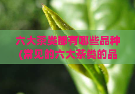 六大茶类都有哪些品种(常见的六大茶类的品种有哪些？)