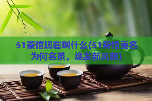 51茶馆现在叫什么(51茶馆更名为何名茶，焕发新风貌)