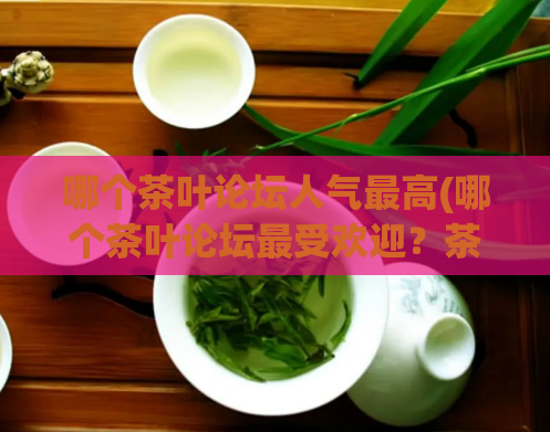哪个茶叶论坛人气最高(哪个茶叶论坛最受欢迎？茶友狂热追捧！)