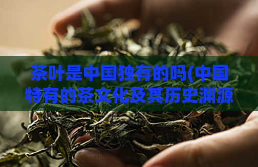 茶叶是中国独有的吗(中国特有的茶文化及其历史渊源)