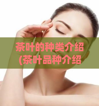 茶叶的种类介绍(茶叶品种介绍)