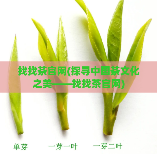 找找茶官网(探寻中国茶文化之美——找找茶官网)