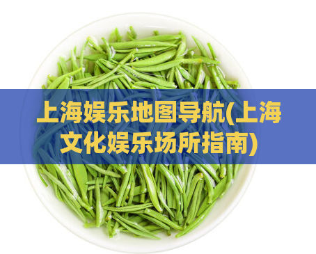 上海娱乐地图导航(上海文化娱乐场所指南)