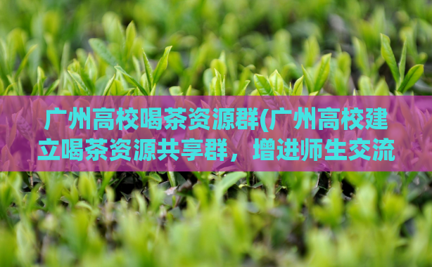 广州高校喝茶资源群(广州高校建立喝茶资源共享群，增进师生交流。)