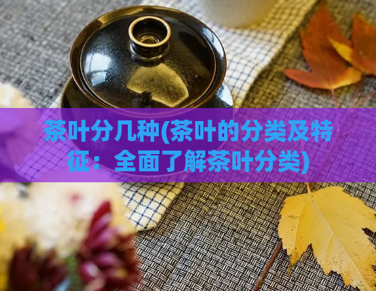 茶叶分几种(茶叶的分类及特征：全面了解茶叶分类)