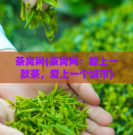 茶窝网(茶窝网：爱上一款茶，爱上一个城市)
