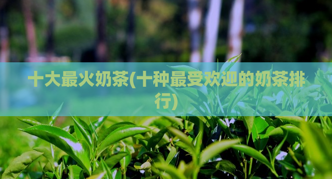 十大最火奶茶(十种最受欢迎的奶茶排行)