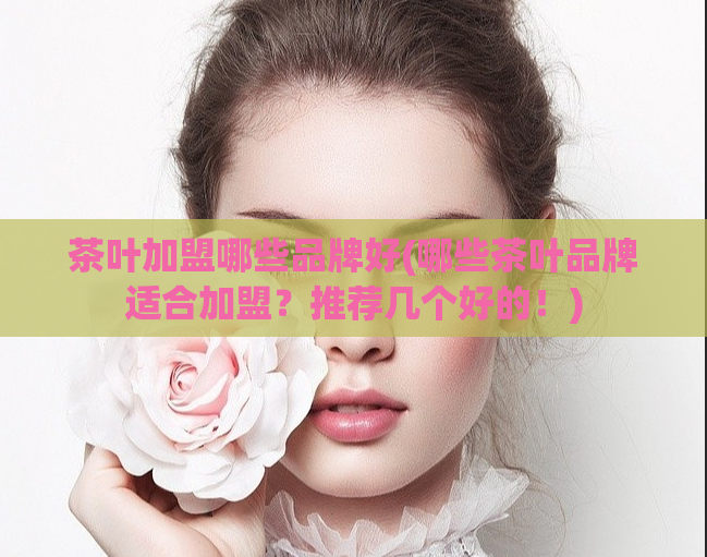 茶叶加盟哪些品牌好(哪些茶叶品牌适合加盟？推荐几个好的！)